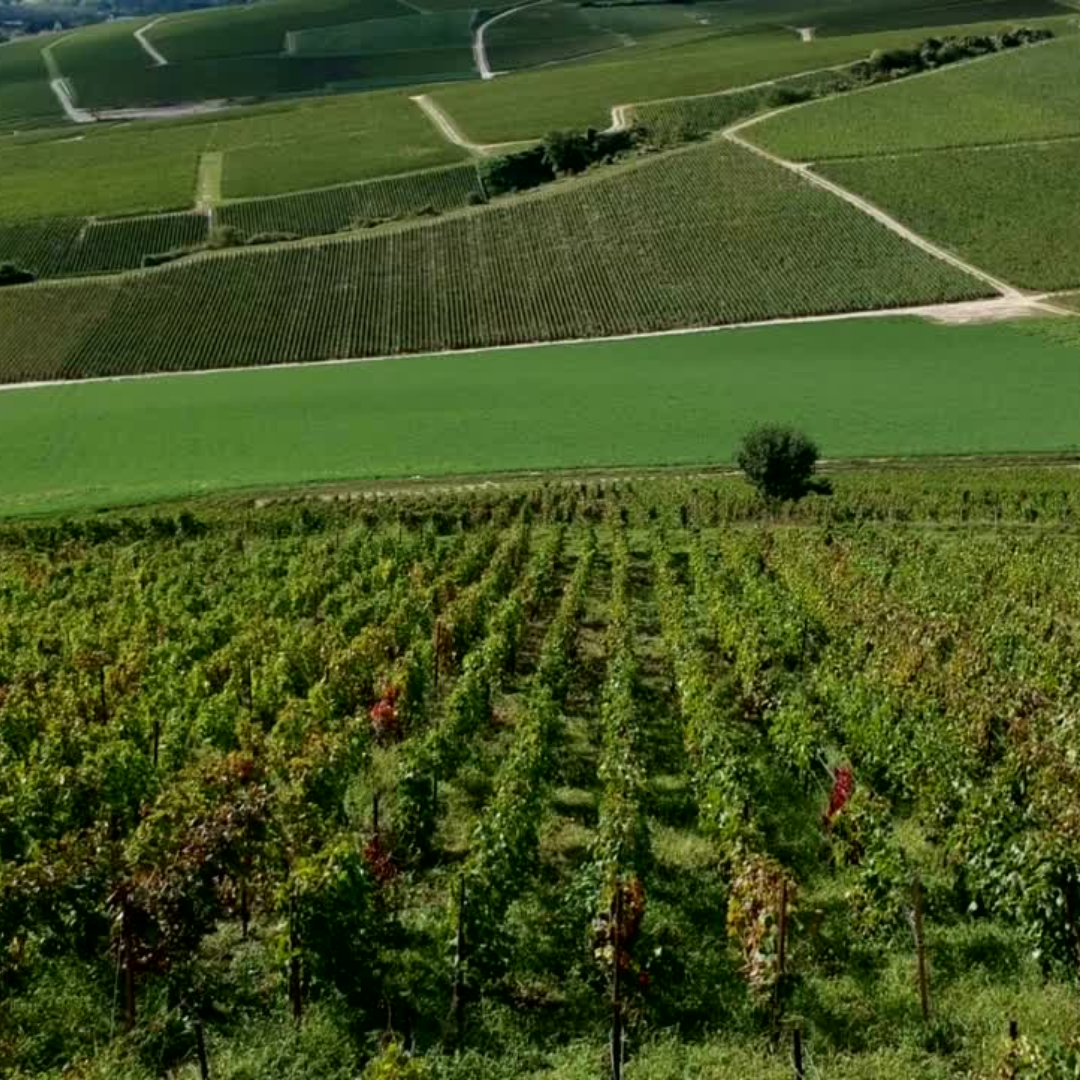 Climats de Bourgogne
