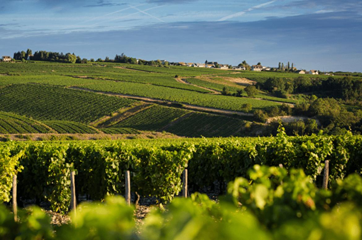 appellation chablis