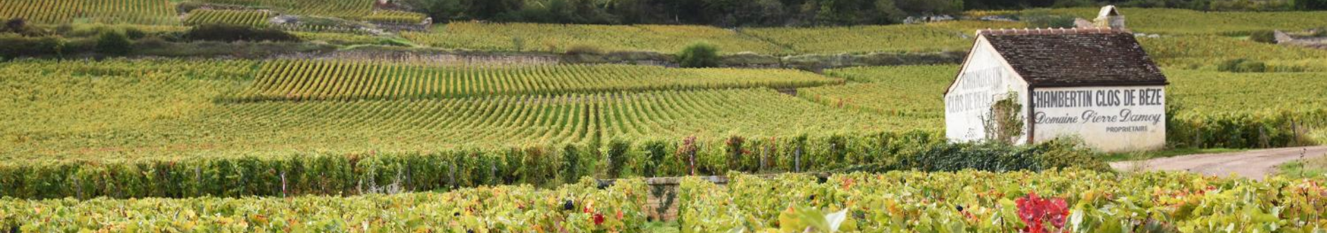 Wines of appellation Chambertin Clos de Bèze