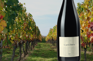 DOMAINE DU CLOS DES FÉES La Petite Sibérie 2022