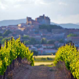 Languedoc-Roussillon wines