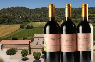 ASSORTMENT Domaine Peyre Rose 2012