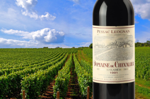 DOMAINE DE CHEVALIER 1991