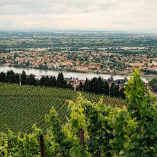 Rhône region